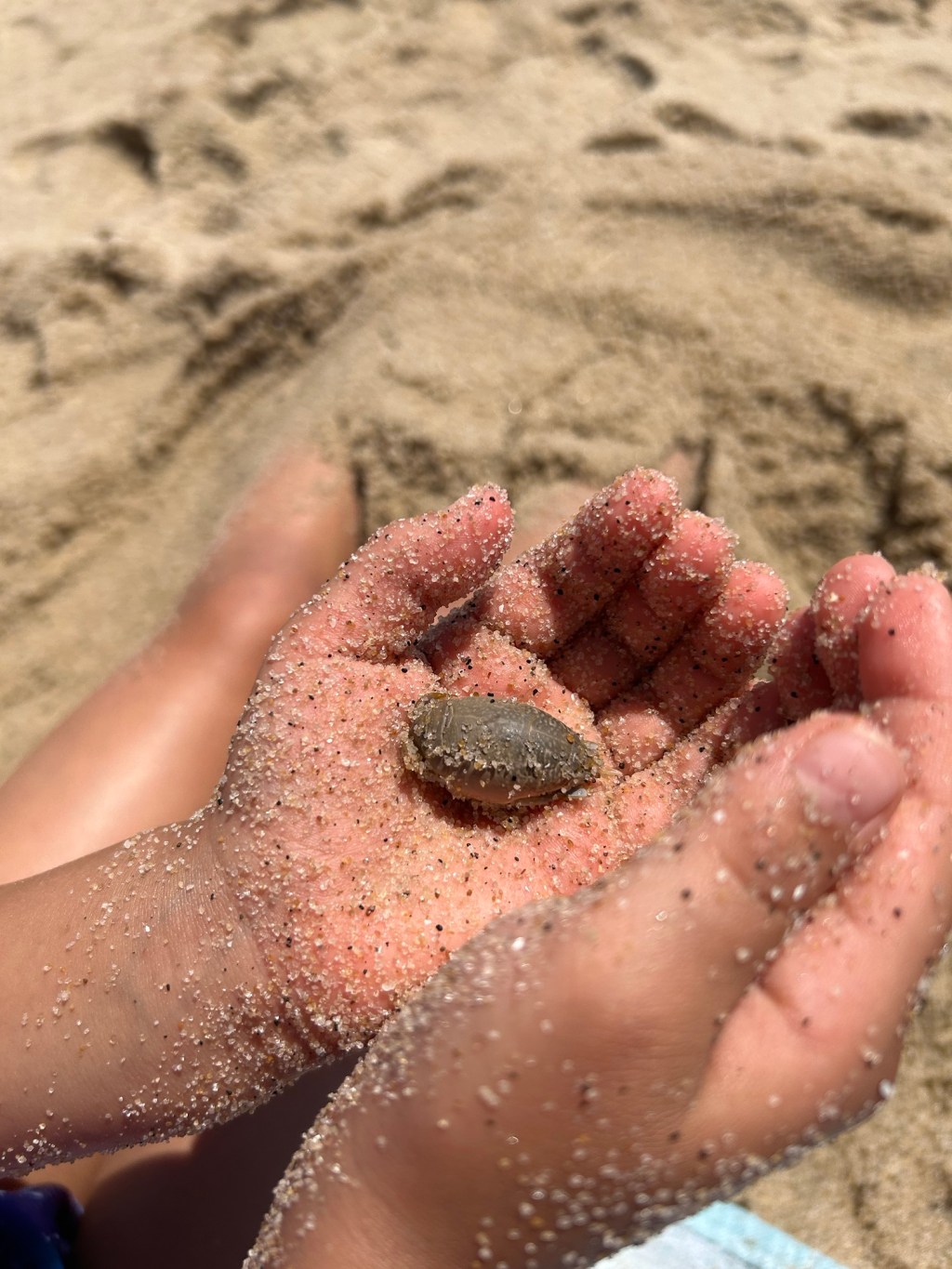 Summer routines/ activities/places