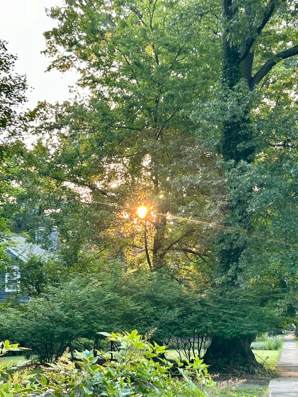 Minutiae/Weather/House project/Beach