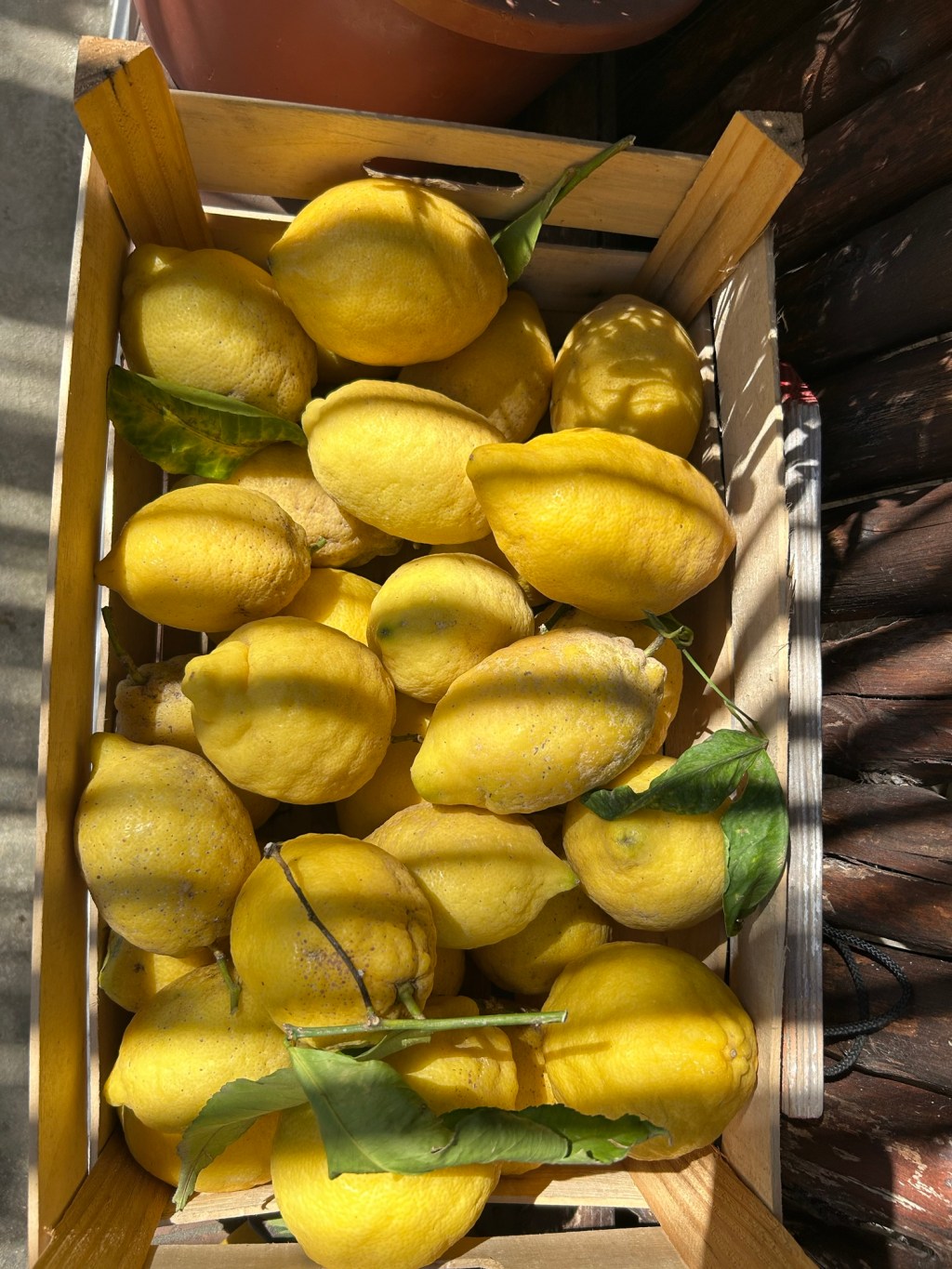 Italy, day 2: the Walk of Lemons +&nbsp;Beach