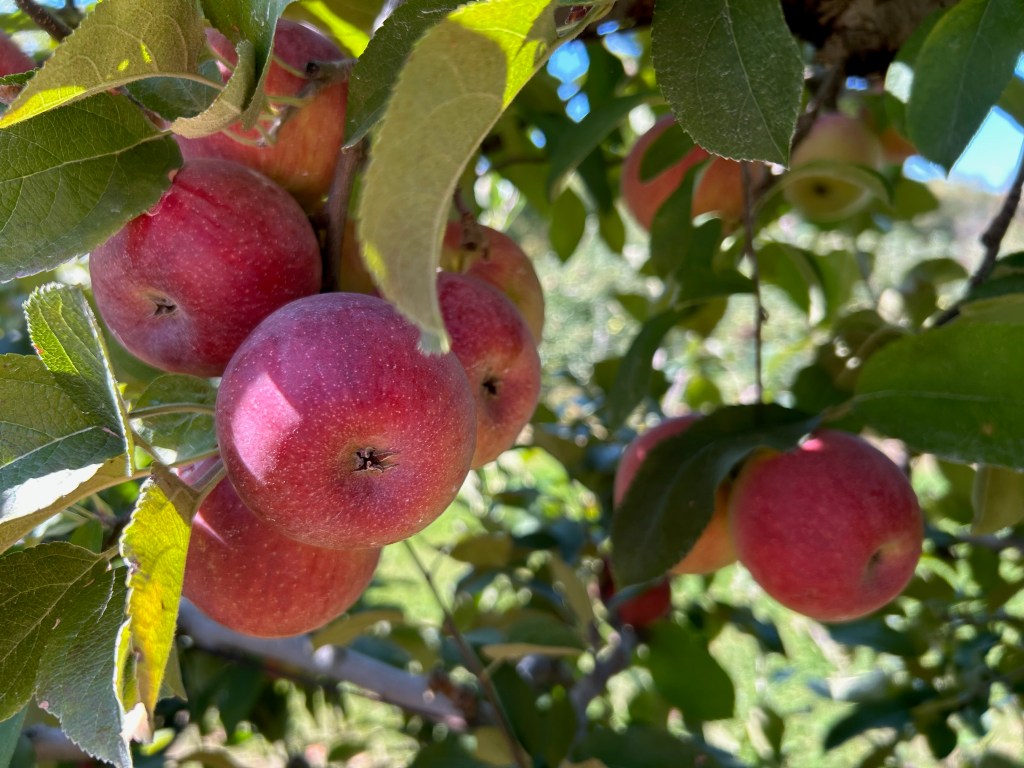 On my mind/Weekend&nbsp;Reflections