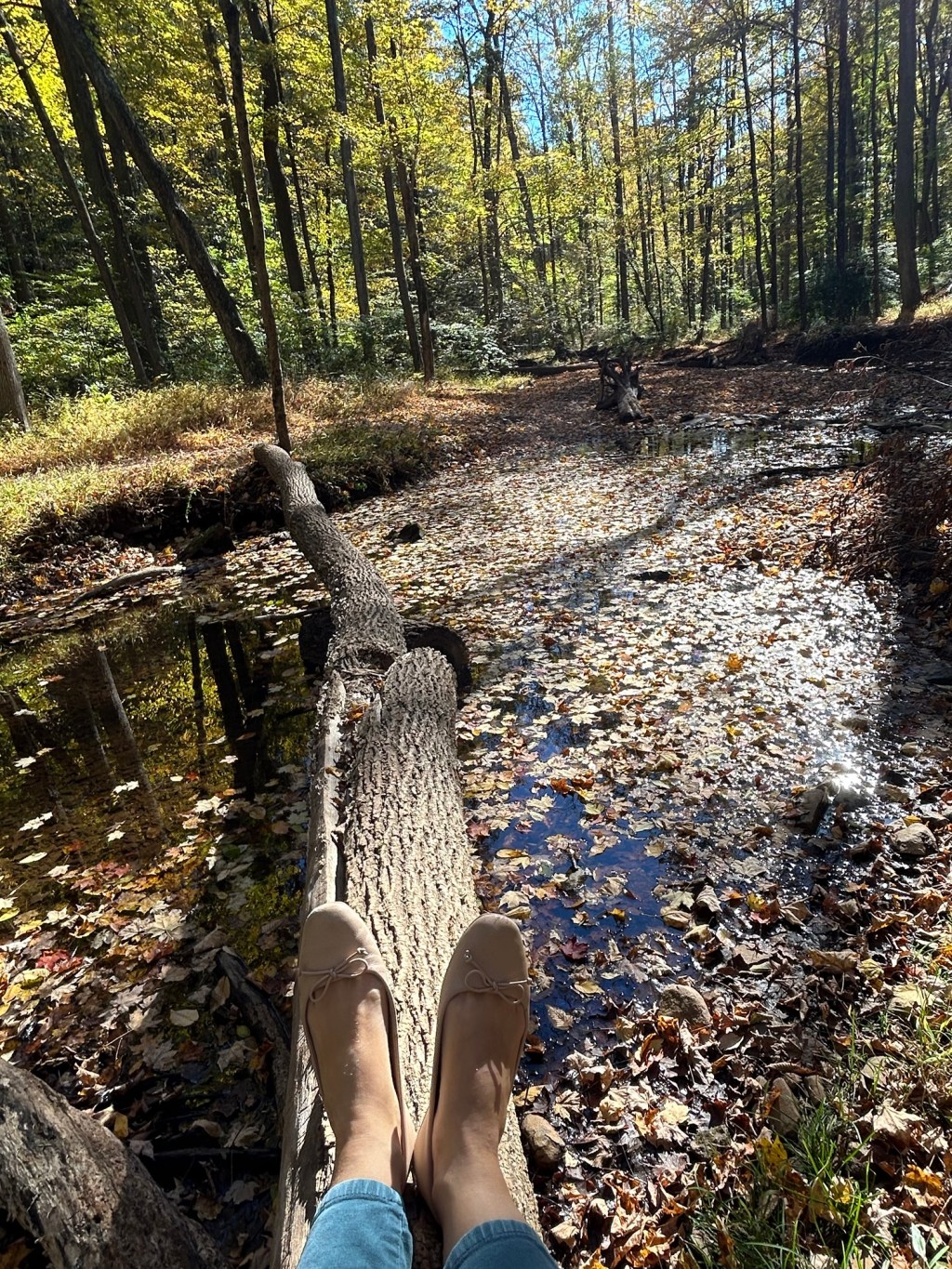 Random Thoughts on a&nbsp;Thursday