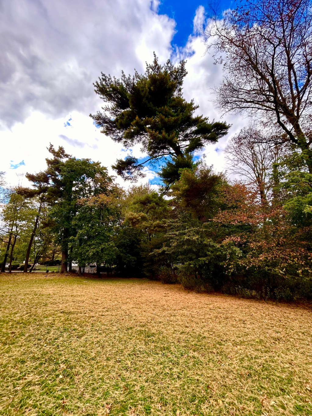 Weekend recap/Mid Week check in/Summer&nbsp;Plans