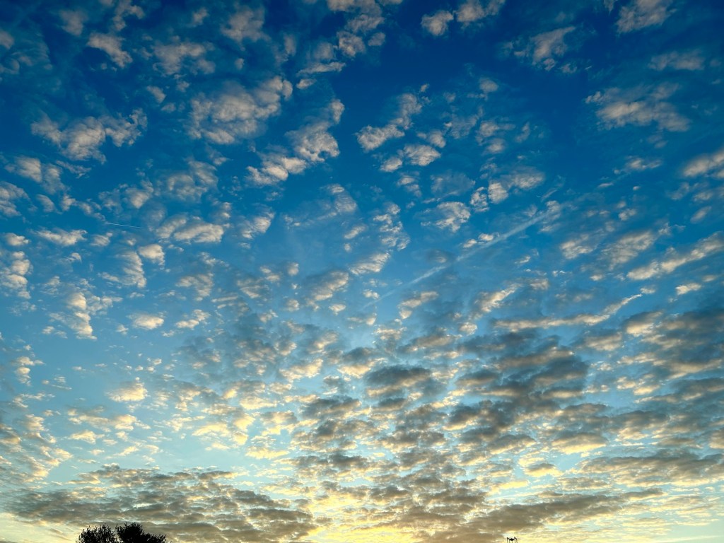 Money, money, money,&nbsp;money…