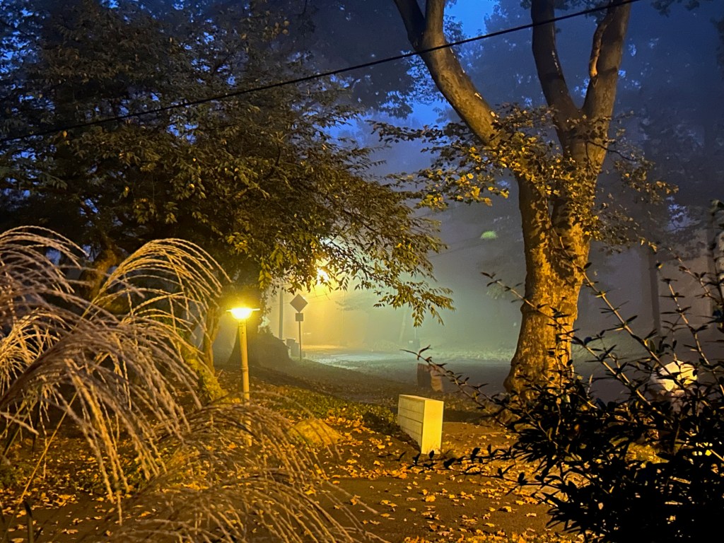 NaBloPoMo 2024 Rules for&nbsp;Self