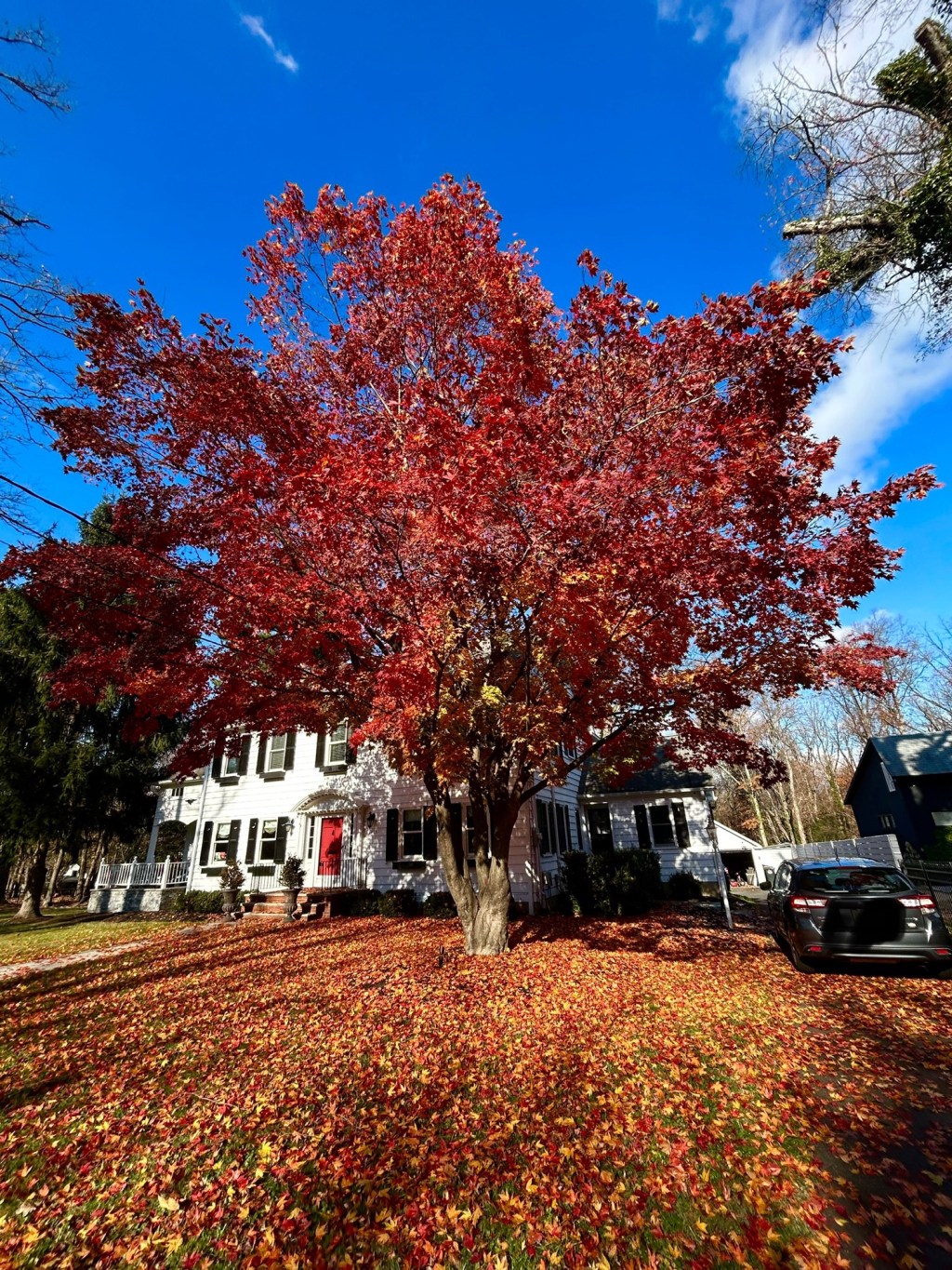 Black Friday was a Buy Nothing This&nbsp;Year