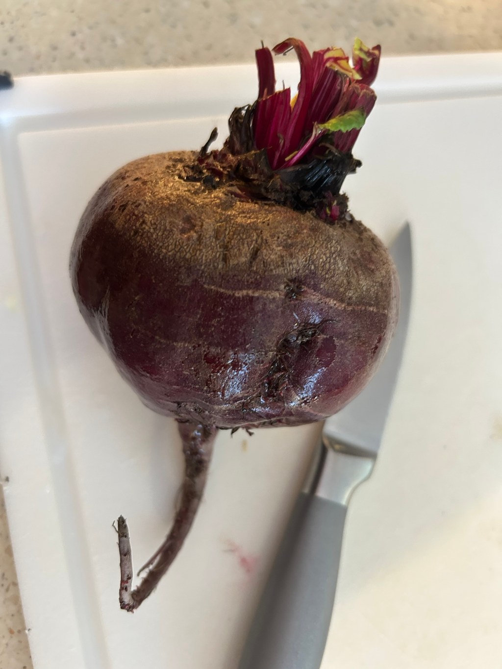 Mood/Packing Lunch/Habits/Advice Needed