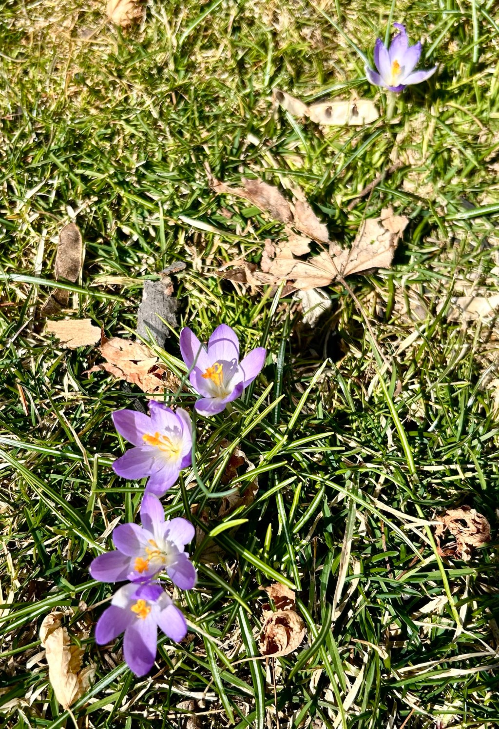 TGI Ugh: self, work,&nbsp;family