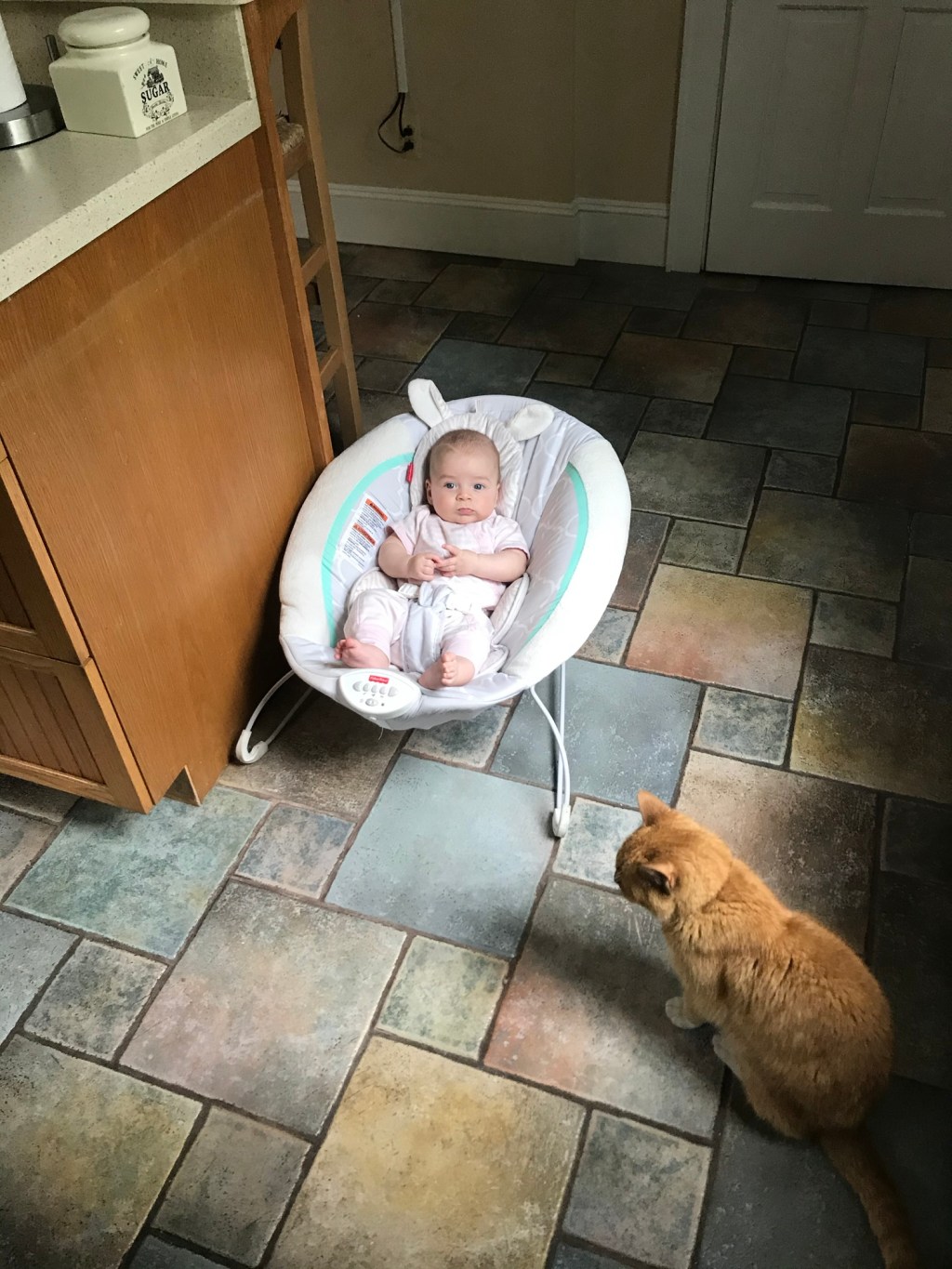 Pandemic, 5 years&nbsp;later