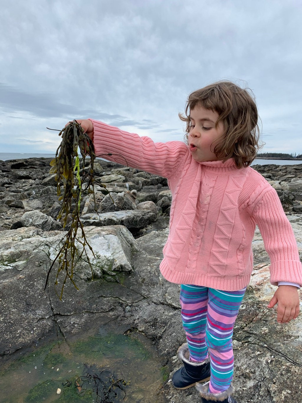 Spring breaks of years&nbsp;past