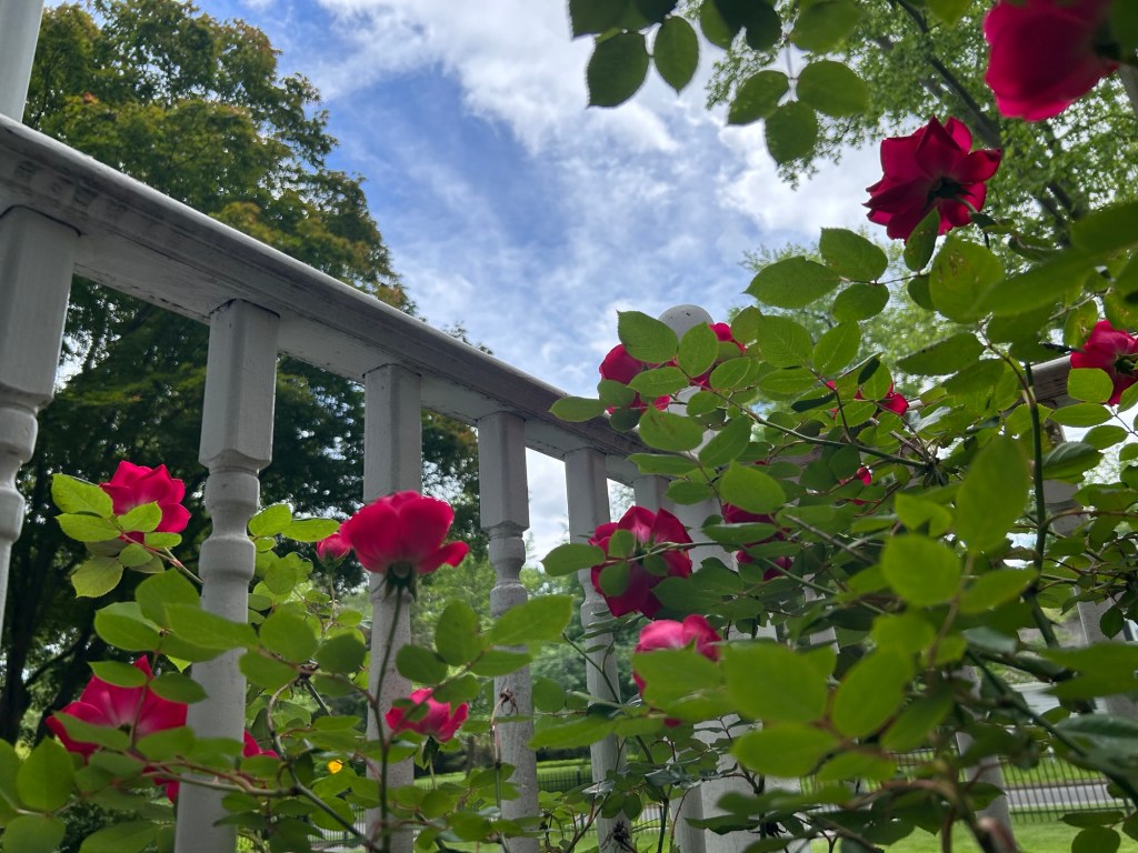 Sunday+IRL blogger meet&nbsp;up