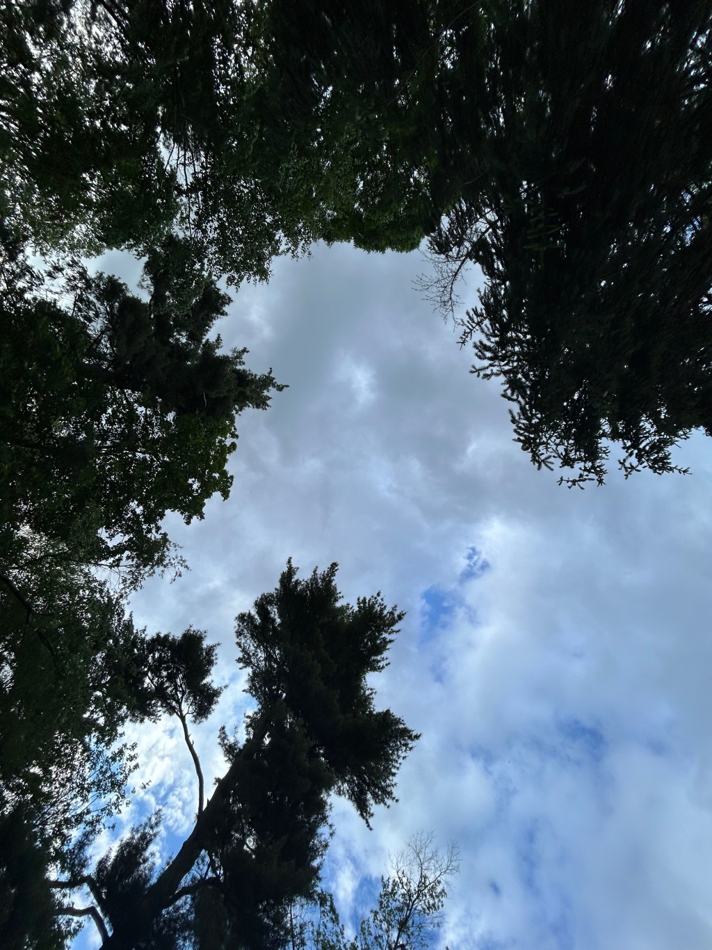 Dad had a&nbsp;stroke