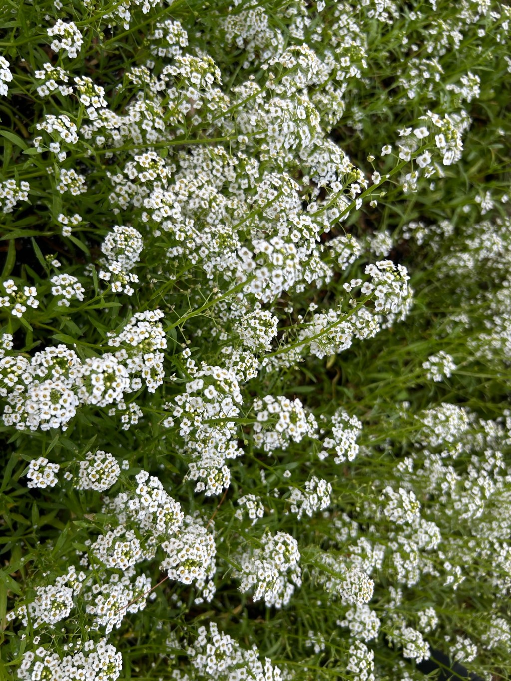 Wrapping Up the School Year+ Travel&nbsp;Anxieties