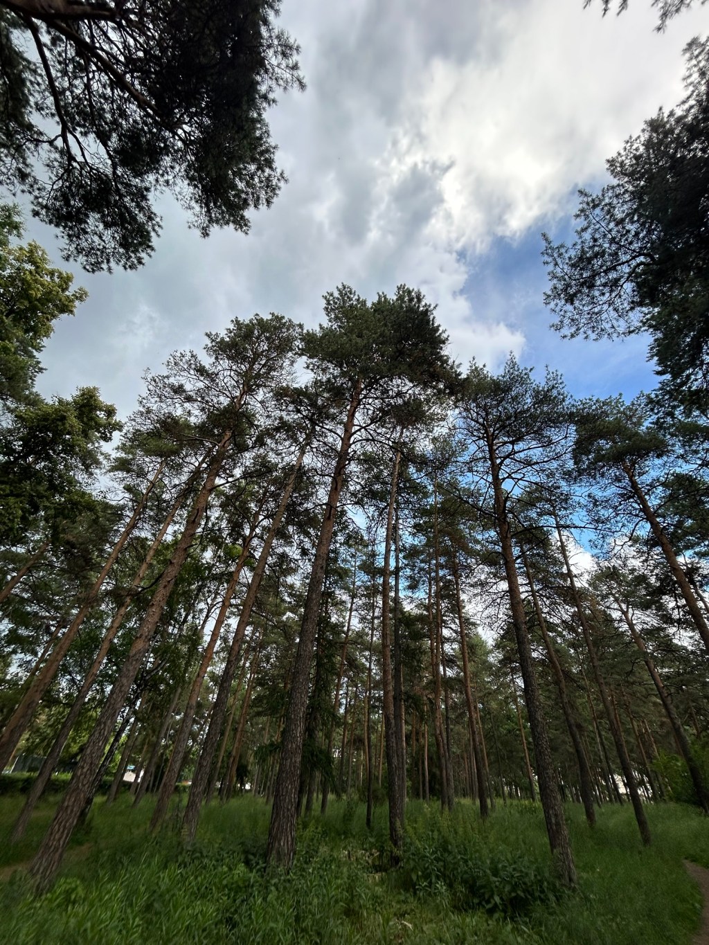 An update from&nbsp;Russia