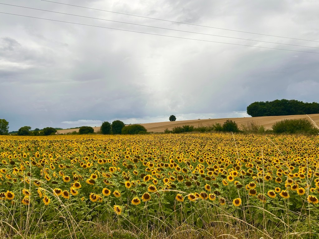 Loire valley: a few castles and some&nbsp;rest