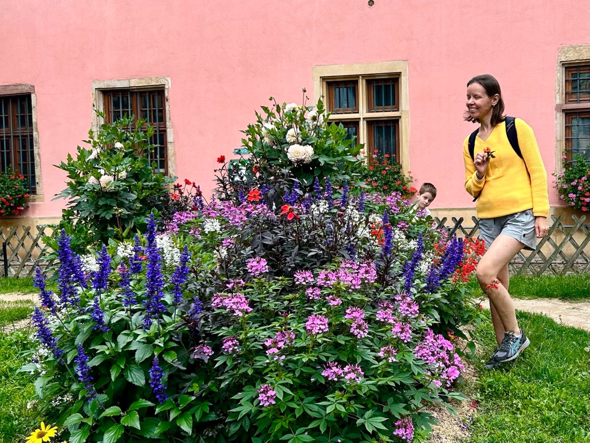 Alsace: slowing down