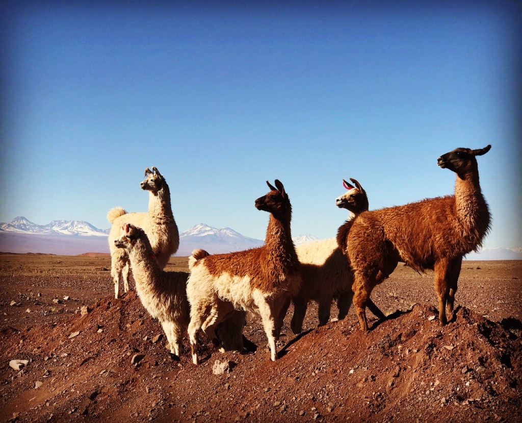 Five memories I’d like to&nbsp;relive