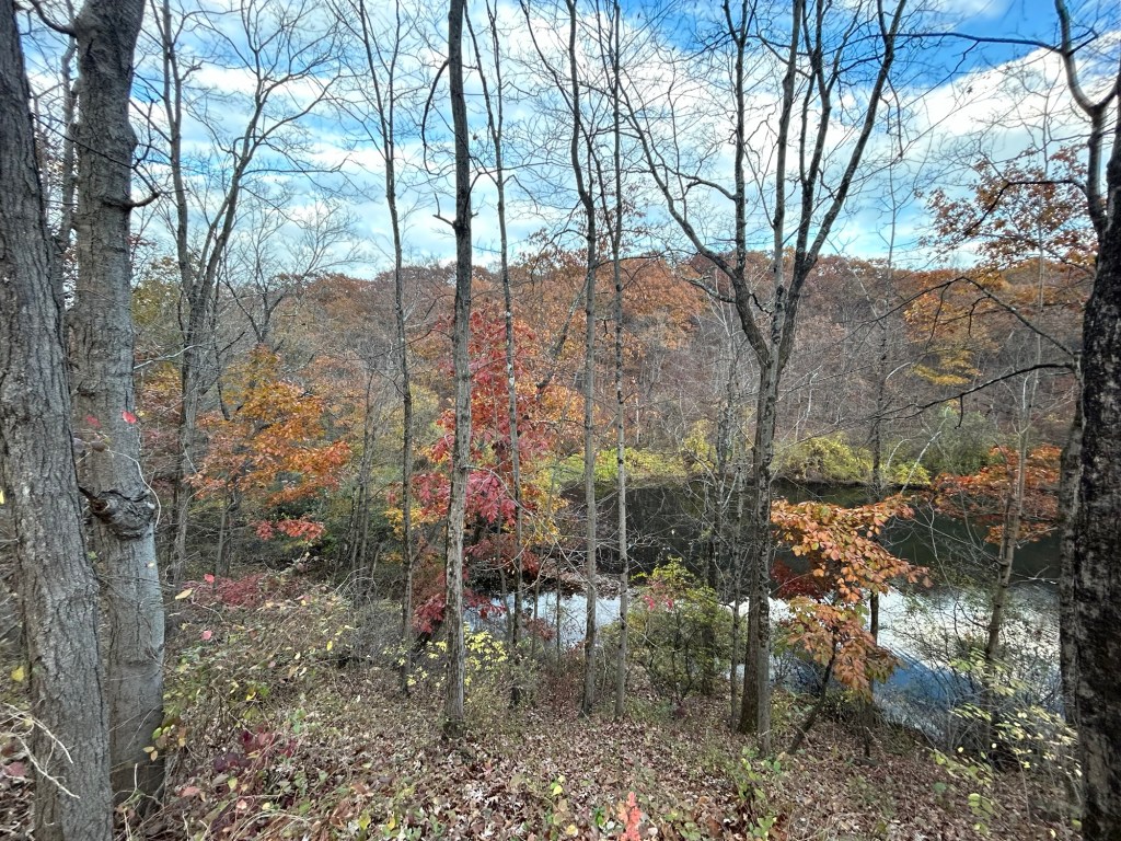 Goodbye, October. Hello,&nbsp;November