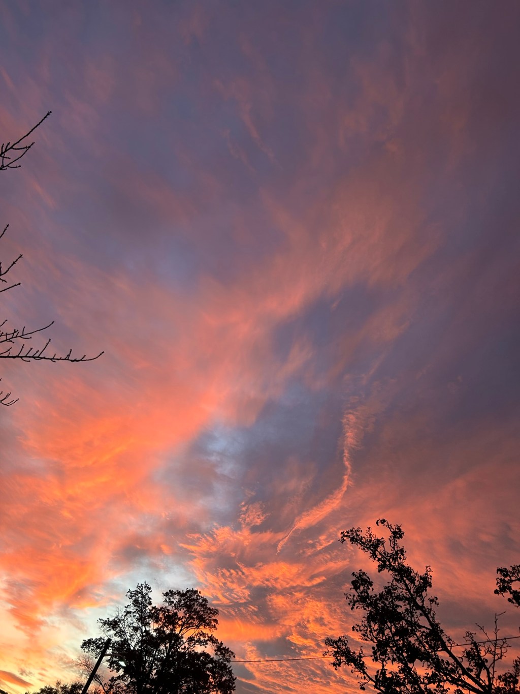 Five Frugal Things and a few Splurgy&nbsp;Things