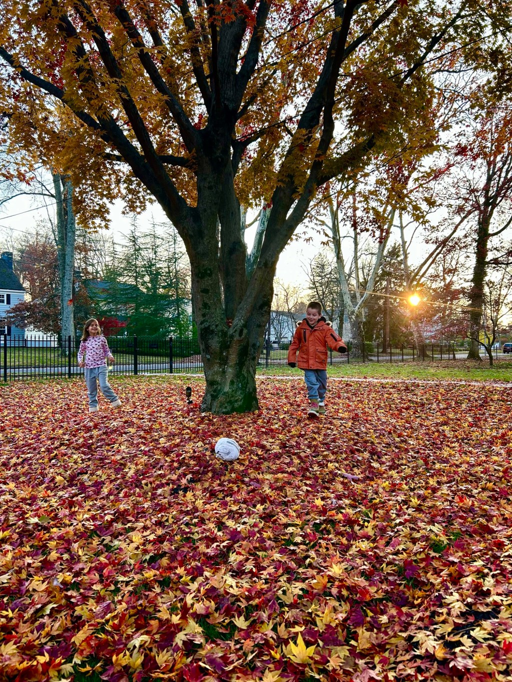 Five Things I Did&nbsp;Today