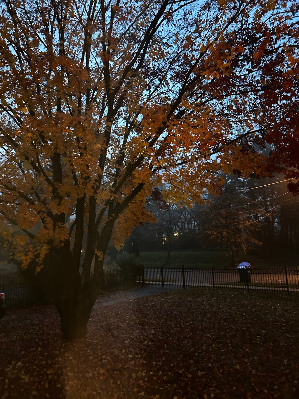 And just like that… It’s&nbsp;Thanksgiving