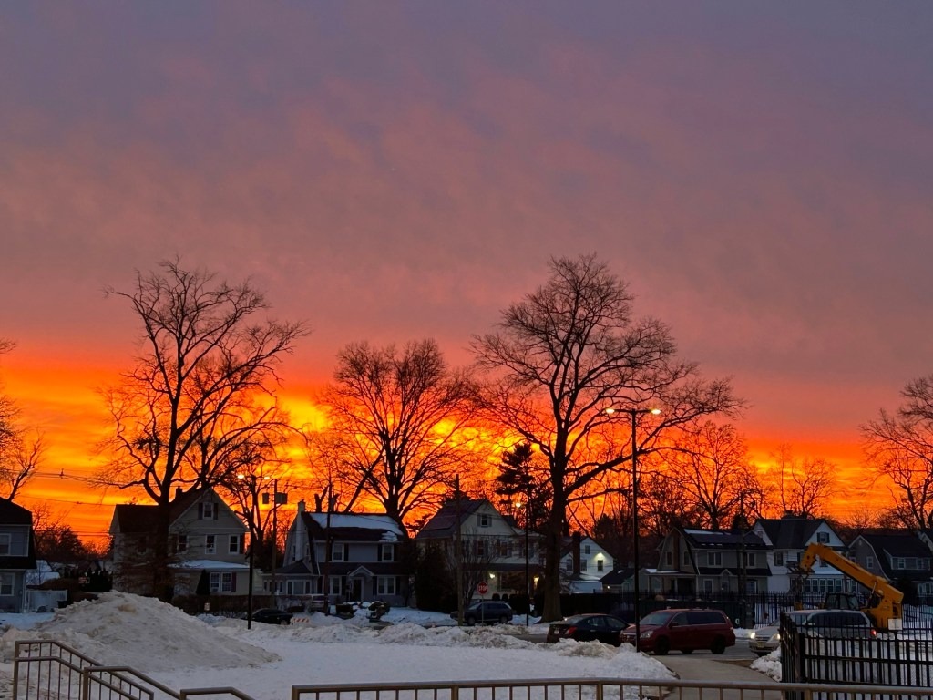 Down the rabbit&nbsp;hole