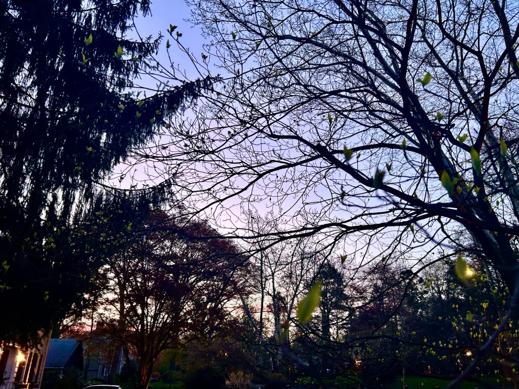 white space/allergies/inside epidemic/subscriptions