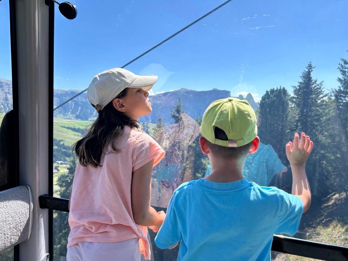 trip updates
